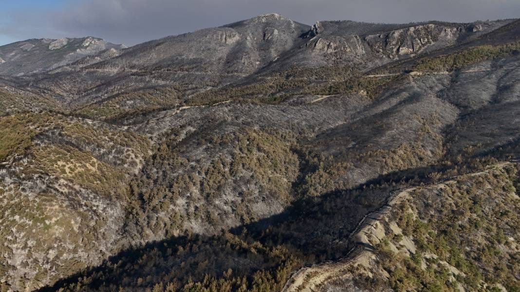 Sakarya'da yürek acıtan görüntüler: Yangının bıraktığı hasar ortaya çıktı 3